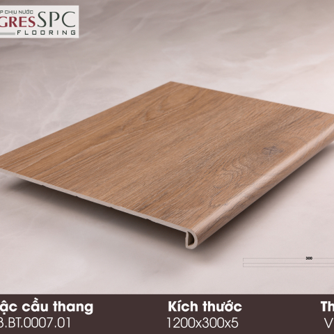 MẶT BẬC CẦU THANG